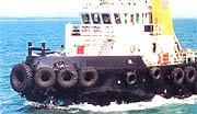 oat02.jpg